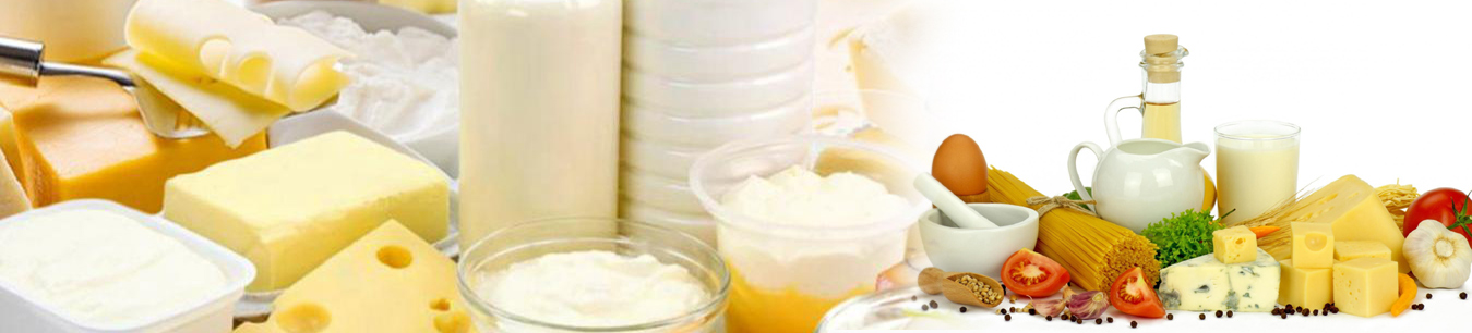 Milk - The Milk is brought from the Farm or Collecting centers, to our Dairy for Processing